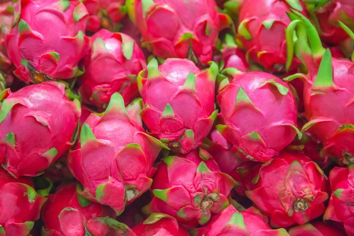 buah naga