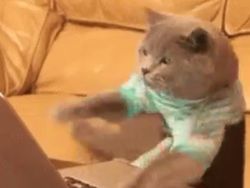 Banjir Meme akibat WhatsApp Down