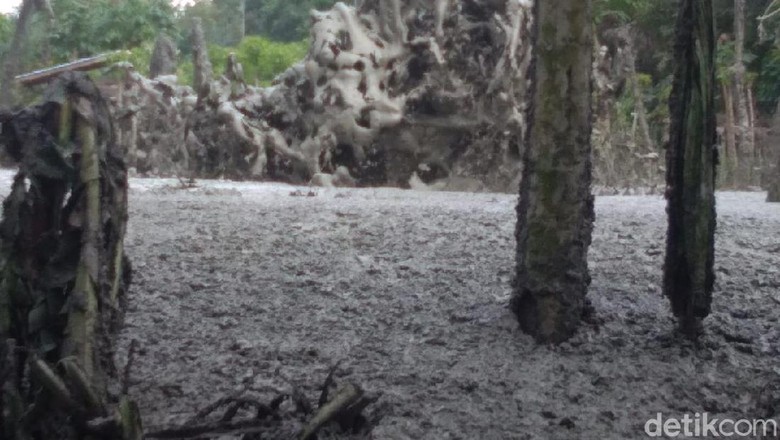Semburan Gas Setinggi 20 Meter Muncul di Permukiman Warga di Aceh Utara Semburan Gas Setinggi 20 Meter Muncul di Permukiman Warga di Aceh Utara
