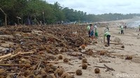 Sampah-sampah tersebut memenuhi sepanjang bibir pantai. (Dita-detikcom)