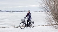 Orang-orang di Finlandia juga melakukan hal-hal yang unik lain, seperti bersepeda di suhu -20 C selain berenang di air es. Apa rasanya berenang di air membeku: kesemutan, hangat dan merasa baik-baik saja (CNN Travel) 