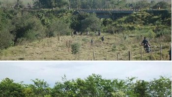 Berbeda dengan yang lain, foto ini justru menunjukkan salah satu hutan di Brasil yang kini semakin lebat. (Foto: Boredpanda)