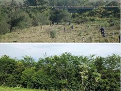 Potret Alam #10yearchallenge yang Menyayat Hati