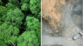 Dulu lebat kini tandus. (Foto: Boredpanda)