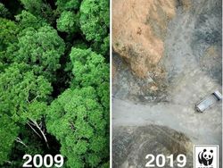 Potret Alam #10yearchallenge yang Menyayat Hati