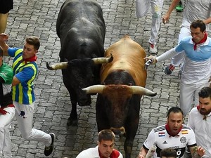 Arab Saudi Berencana Gelar Festival Lari Dikejar Banteng Ala Spanyol