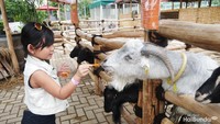 Scientia Square Park menawarkan traveler berinteraksi langsung dengan satwa. Anak-anak bisa berfoto dan memberi makan hewan yang mereka sukai (Amelia Sewaka)