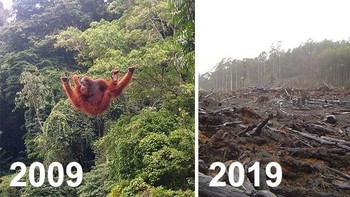 Rumahnya yang kini telah hilang. (Foto: Boredpanda)