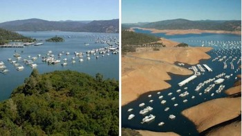 Kemana pohon-pohonnya? (Foto: Boredpanda)