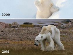 Potret Alam #10yearchallenge yang Menyayat Hati