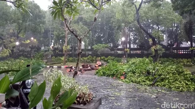 Petugas sudah menangani pohon tumbang