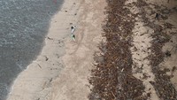 Sampah kiriman yang terdampar akibat gelombang tinggi dan angin kencang tersebut mengakibatkan aktivitas warga dan wisatawan di Pantai Kuta terganggu.