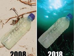 Potret Alam #10yearchallenge yang Menyayat Hati
