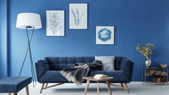 9 Kepribadian Orang yang Suka Warna Biru, Tenang tapi Penuh Makna