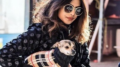 Gaya Mewah Anjing Priyanka Chopra, Jalan-jalan dengan Tas Rp 20 Juta