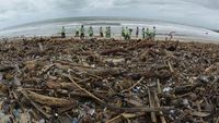 Penampakan Dari Udara Sampah Yang Menumpuk Di Pantai Kuta