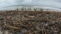 Para warga dan petugas kebersihan beserta relawan turut serta membersihkan sampah-sampah tersebut dari bibir pantai.