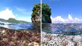 Satu angle foto yang sama dengan kondisi yang berbeda. (Foto: Boredpanda)