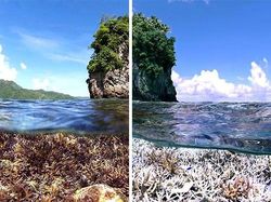 Potret Alam #10yearchallenge yang Menyayat Hati