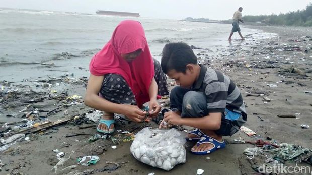 Warga berburu kerang putih. 