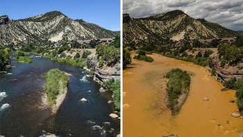 Sekarang dilumuri air coklat. (Foto: Boredpanda)
