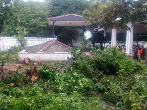 Bangsal Kori Keraton Yogyakarta Ambruk Tertimpa Pohon