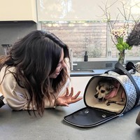 Barang mewah tersebut salah satunya tas anjing dari brand Goyard. Seperti yang terlihat di sebuah unggahan terbarunya di Instagram, sang anjing sedang berpose di dalam tas tersebut. Thank you @mimi for Diana’s new @goyardofficial travel home! She refuses to leave it! ️ we love u! tulis Priyanka di keterangan foto sembari mengucapkan kepada sang stylist, Mii Cuttrell. Tas tersebut diketahui berharga 100 ribu rupee atau sekitar Rp 20 juta. Foto: Instagram