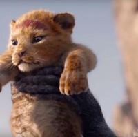 The Lion King adalah salah satu film animasi Disney terbaik dan terlaris saat pertama kali tayang pada 1994. Versi live-action pun dibuat dengan menyajikan Simba dkk. hadir dalam bentuk se-real mungkin. Foto: Youtube