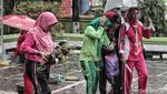 Wow, Ribuan Lavender Ditanam di Marunda untuk Cegah DBD
