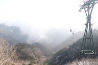 (Bonauli/detikTravel)