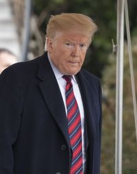 Ubur ubur Langka Ini Punya Bentuk yang Mirip Rambut Donald Ubur ubur Langka Ini Punya Bentuk yang Mirip Rambut Donald