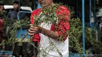 Gerakan ini pun sebagai bentuk pencegahan meningkatnya penyakit demam berdarah dengue yang disebut Kepala Dinas Kesehatan DKI Jakarta Widyastuti, pada Februari dan Maret 2019 ini, seluruh wilayah DKI Jakarta masuk dalam kategori waspada kejadian luar biasa (KLB) bemam berdarah dengue (DBD).