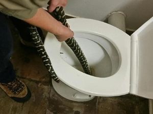 Geger Perempuan Digigit Ular Sanca dari Lubang Toilet