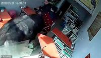 Sedang Asyik Makan di Restoran, Pengunjung Ini Diseruduk Kerbau