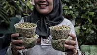 Menurut Lurah Marunda Hilda Damayanti menanam lavender dan merajang sereh adalah bagian dari kegiatan pemberantasan sarang nyamuk (PSN) 3M Plus sehingga warga tidak perlu lagi membeli obat nyamuk.