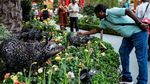 Cantiknya Pernak-pernik Jelang Imlek di Singapura