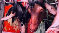 Tidak hanya menjual aneka daging. Di pasar ini ternyata juga menjual kepala kambing. Ada yang beli? Foto: Instagram@jolyn0307
