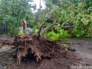 Longsor dan Puting Beliung Melanda Beberapa Titik di Jepara
