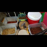 Di Warung Nasi Ini Bayar Rp 1.000 Bisa Makan Sepuasnya