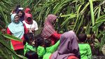Foto: Agrowisata Kebun Buah Naga di Sukabumi, Mampir Ah!