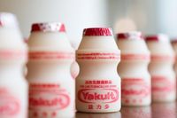 Lucunya Sedotan Stainless Mini Khusus untuk Minum Yakult