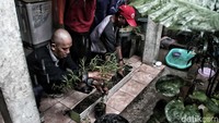 Hujan yang terus mengguyur wilayah Jakarta membuat penyakit demam berdarah dengue (DBD) rawan menjangkiti warga. Kelurahan Marunda di Jakarta Utara pun menggalakan gerakan menanam lavender untuk mengantisipasi penyebaran penyakit itu.