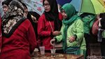 Wow, Ribuan Lavender Ditanam di Marunda untuk Cegah DBD