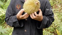 Pharrel William udah kaya pedagang duren belum? arel suka MADU (Mabok Duren), tulis Indra. Foto: Instagram indra.hakim