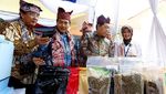 Dorong Petani dan UMKM Kopi di Banyuwangi Naik Kelas