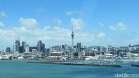 Auckland Sky Tower adalah gedung tertinggi di Selandia Baru. Ia menjadi landmark karena jauh lebih tinggi dari gedung lain di sana (Fitraya/detikTravel)  