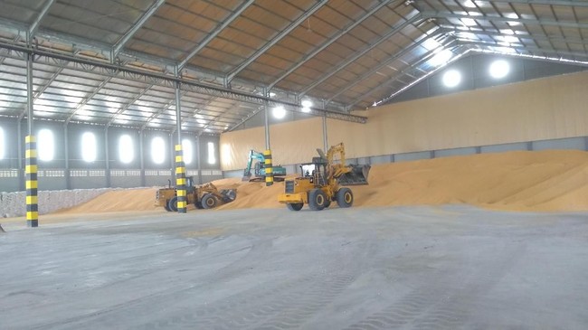 RI Bakal Terus Tergantung Impor Jagung, Kok Bisa?
