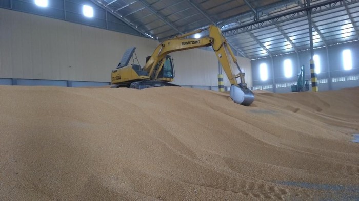 Jagung impor Brasil mulai didistribusikan