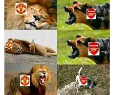 Meme-meme Lucu Soal Arsenal Dilibas MU