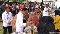 Sejak 2015, sudah ada 4,1 juta peserta Mekaar binaan PNM.